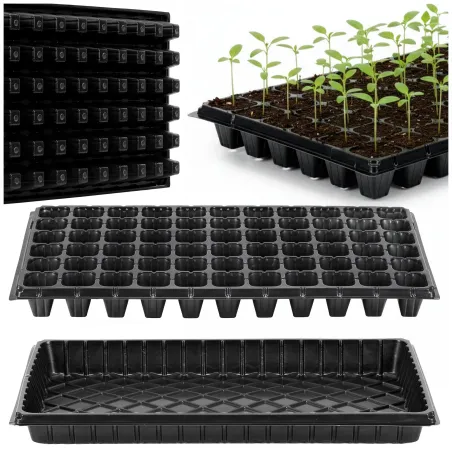 Multisection tray GA0221 52.5 x 31.5 cm